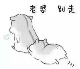 小仓鼠系列给老婆的表情包 好喜欢老婆