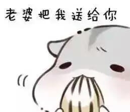 小仓鼠系列给老婆的表情包 好喜欢老婆