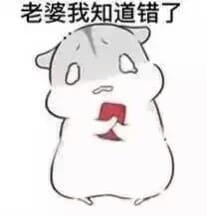 小仓鼠系列给老婆的表情包 好喜欢老婆