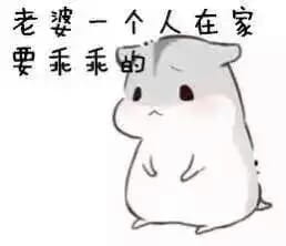 小仓鼠系列给老婆的表情包 好喜欢老婆