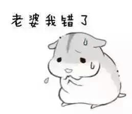 小仓鼠系列给老婆的表情包 好喜欢老婆