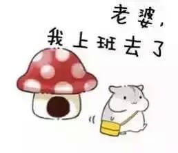 小仓鼠系列给老婆的表情包 好喜欢老婆