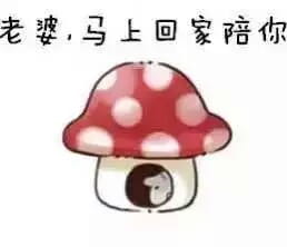 小仓鼠系列给老婆的表情包 好喜欢老婆