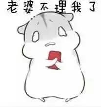 小仓鼠系列给老婆的表情包 好喜欢老婆