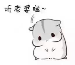 小仓鼠系列给老婆的表情包 好喜欢老婆