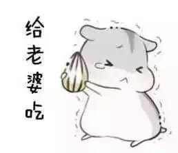 小仓鼠系列给老婆的表情包 好喜欢老婆