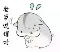 小仓鼠系列给老婆的表情包 好喜欢老婆
