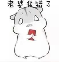 小仓鼠系列给老婆的表情包 好喜欢老婆