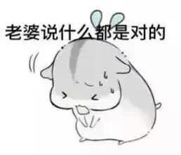 小仓鼠系列给老婆的表情包 好喜欢老婆