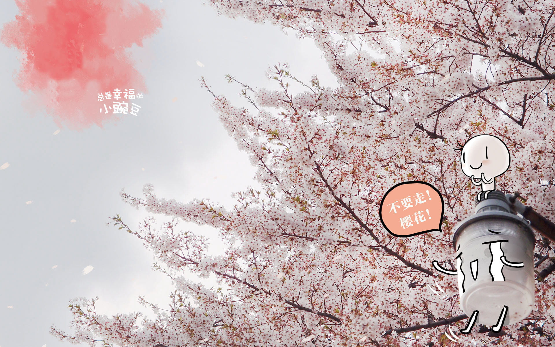 樱花 高清护眼电脑壁纸下载