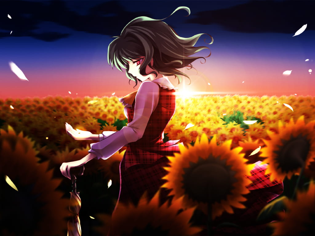 优雅的绽放，墨染樱花 东方壁纸下载(1)