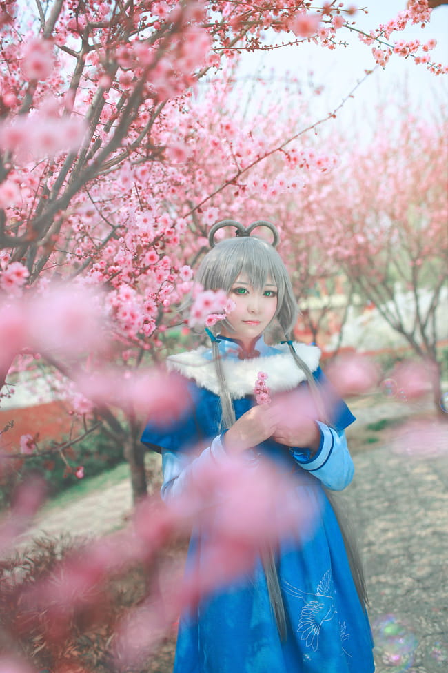 【授权】VOCALOID南北组 乐正绫&洛天依COS