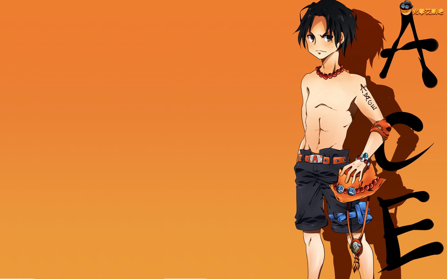 海贼王 火拳艾斯 高清电脑壁纸下载(1)