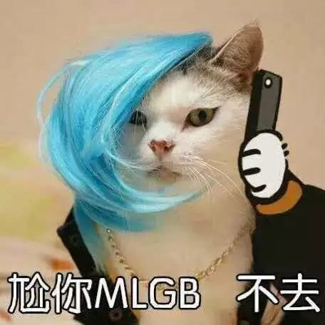 超级可的猫咪表情包下载