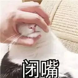 超级可的猫咪表情包下载