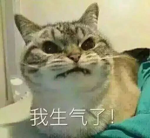 超级可的猫咪表情包下载