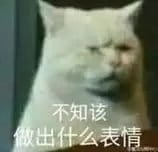 超级可的猫咪表情包下载