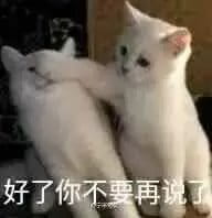 超级可的猫咪表情包下载