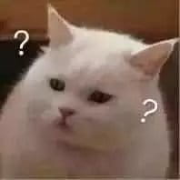 超级可的猫咪表情包下载