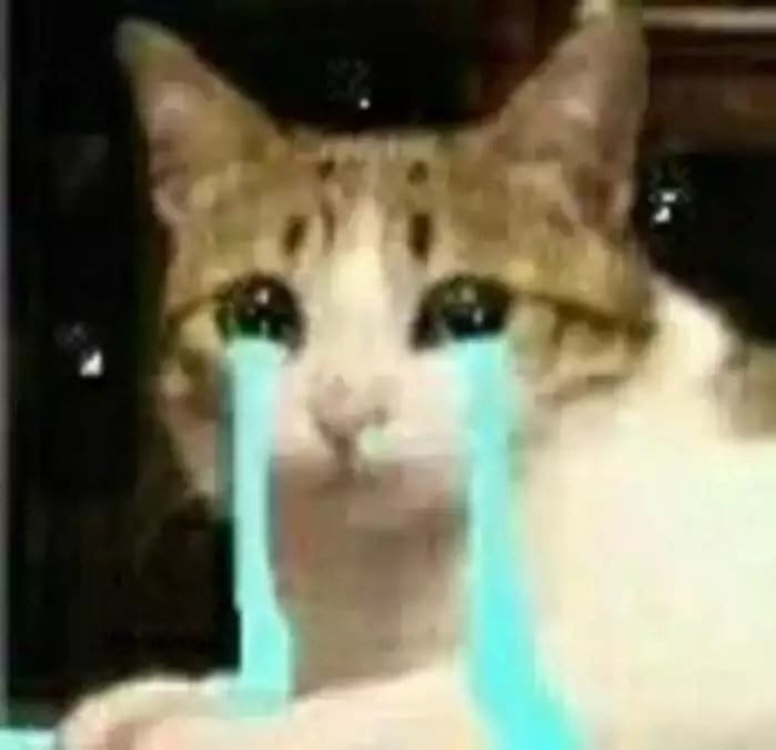 超级可的猫咪表情包下载