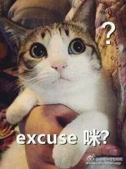 超级可的猫咪表情包下载