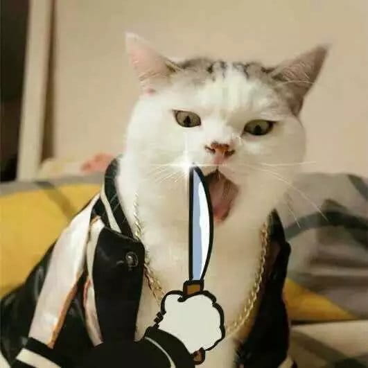 超级可的猫咪表情包下载