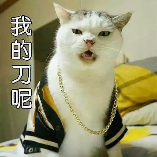 超级可的猫咪表情包下载