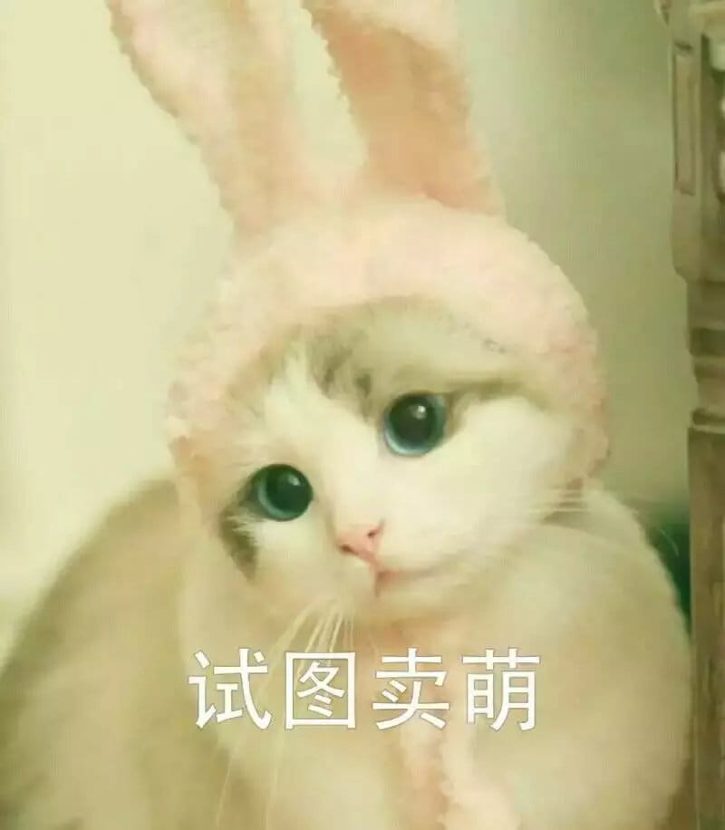 超级可的猫咪表情包下载