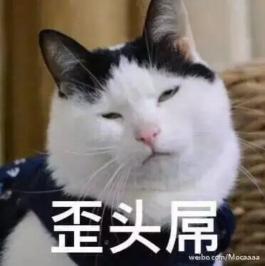 超级可的猫咪表情包下载
