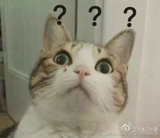超级可的猫咪表情包下载