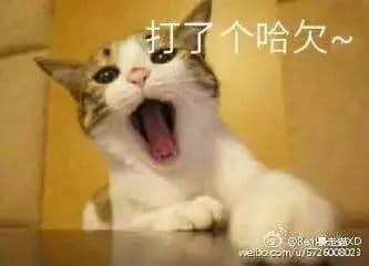 超级可的猫咪表情包下载