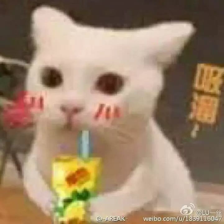 超级可的猫咪表情包下载