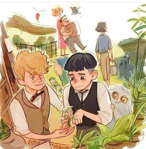 神奇动物在哪里 高清手机壁纸