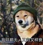 穷到吃土！没钱好痛苦表情包下载