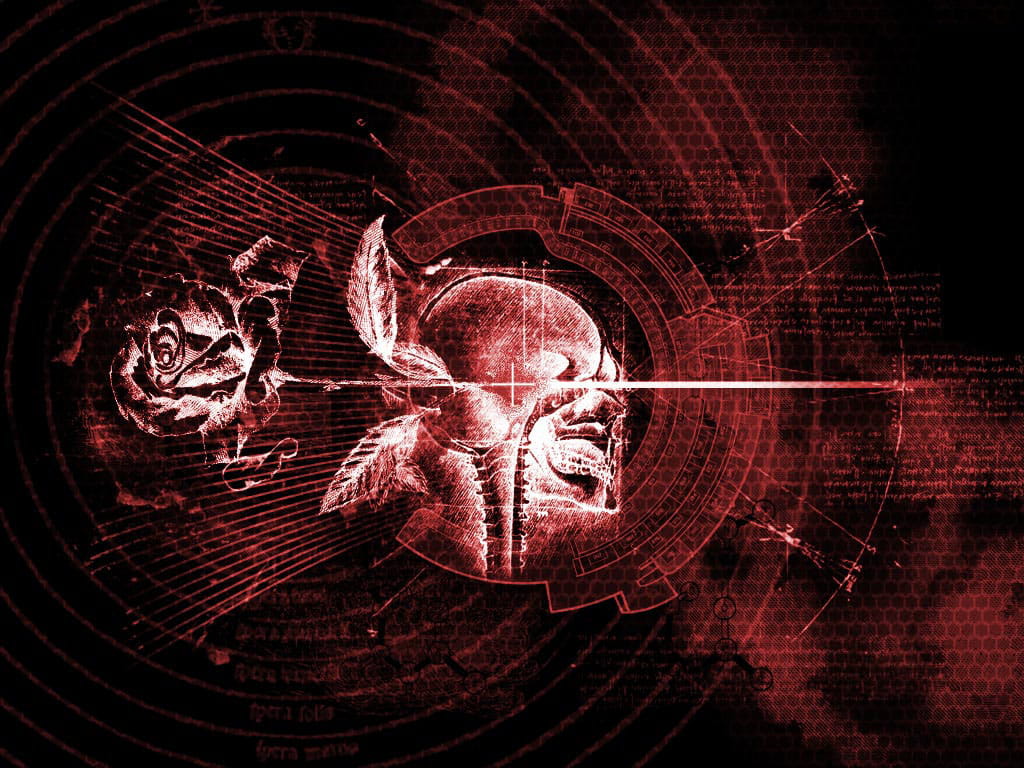 AVA战地之王壁纸