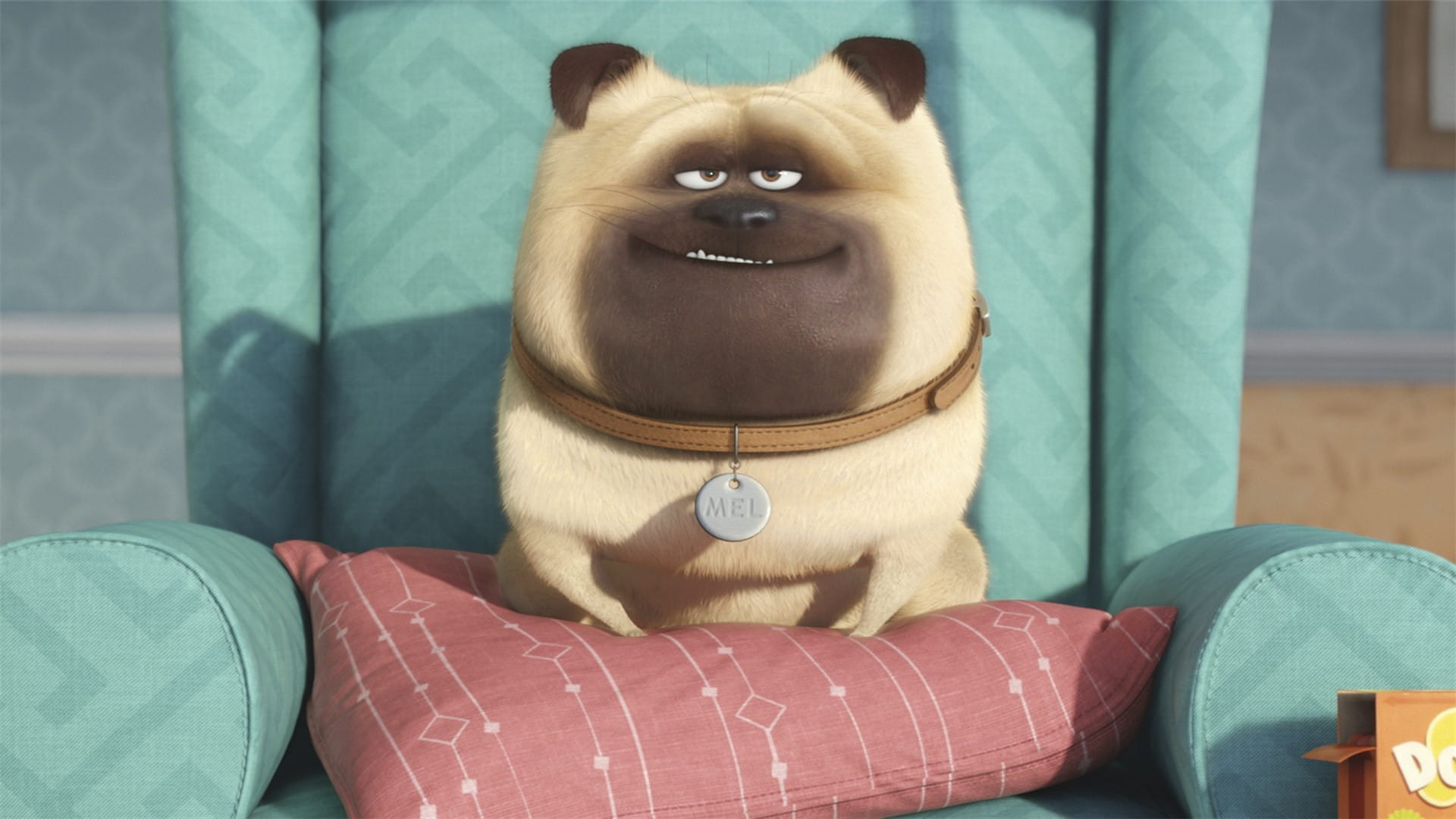 《爱宠大机密》图片电脑壁纸下载