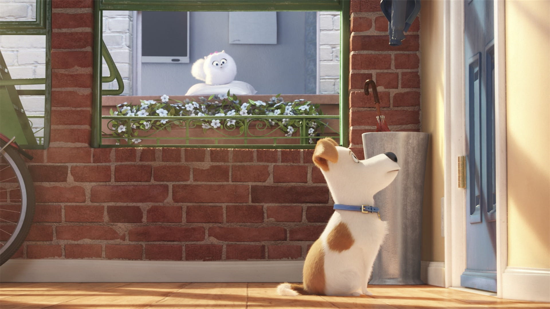 《爱宠大机密》图片电脑壁纸下载