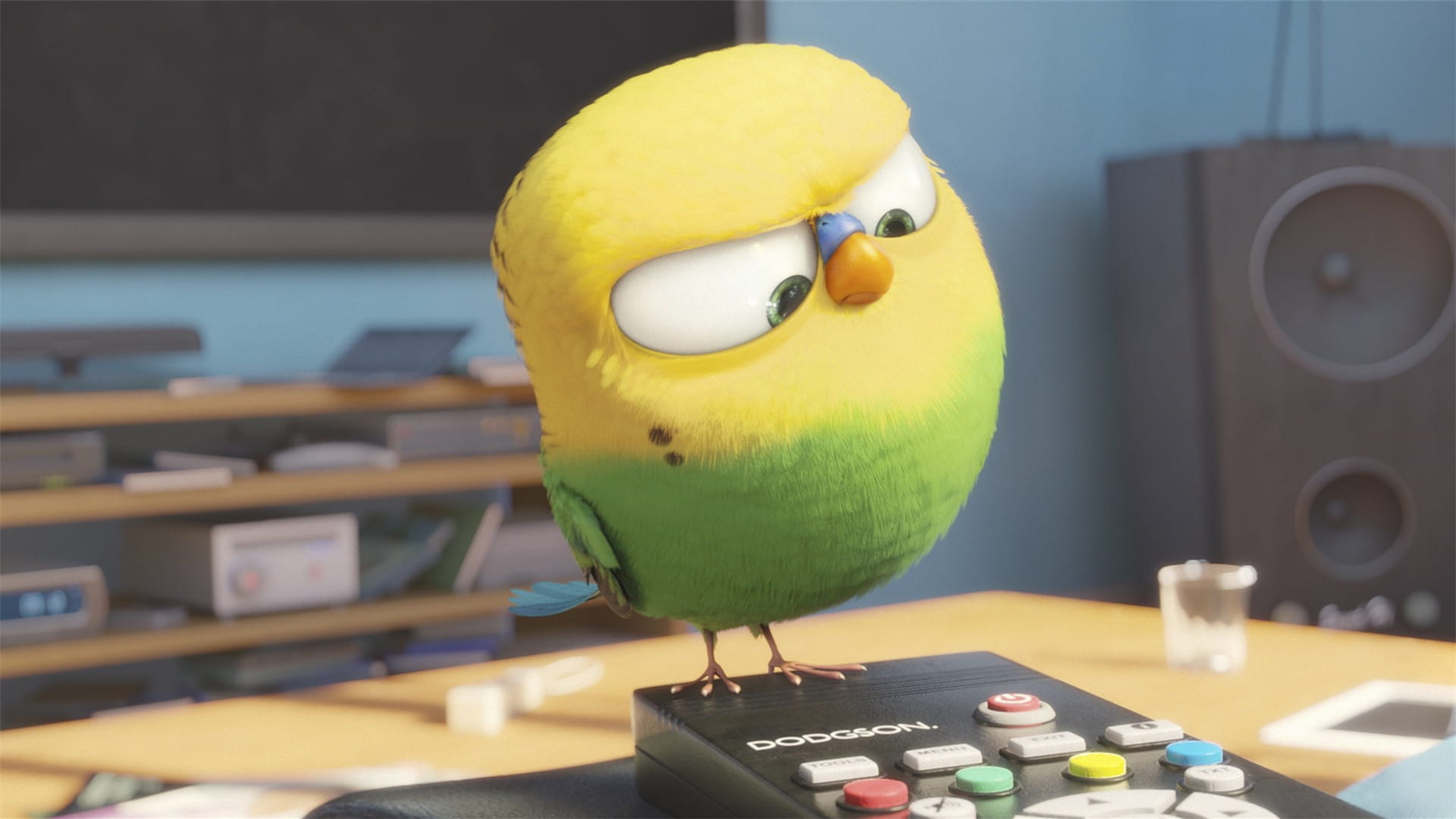 《爱宠大机密》图片电脑壁纸下载