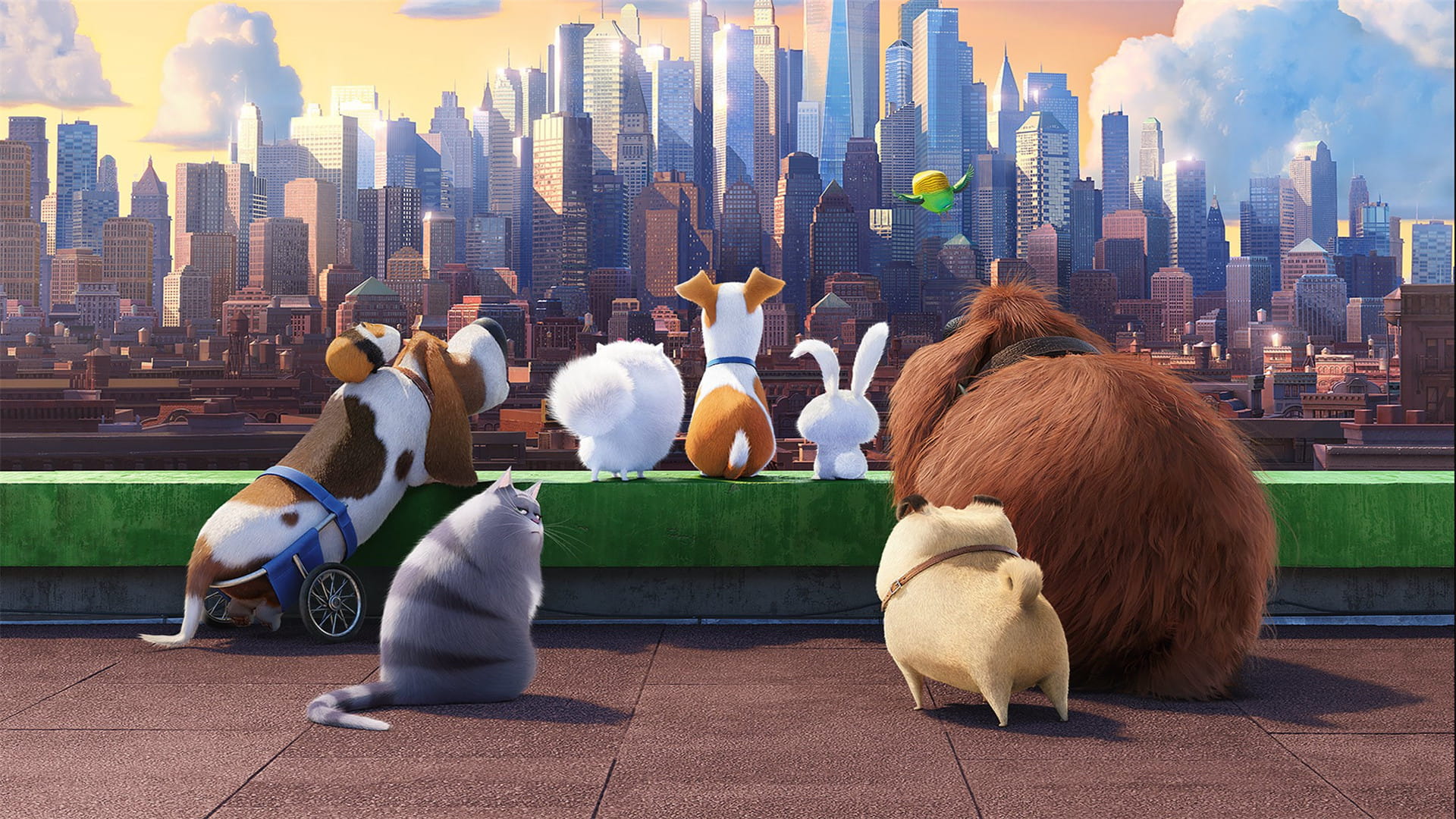 《爱宠大机密》图片电脑壁纸下载