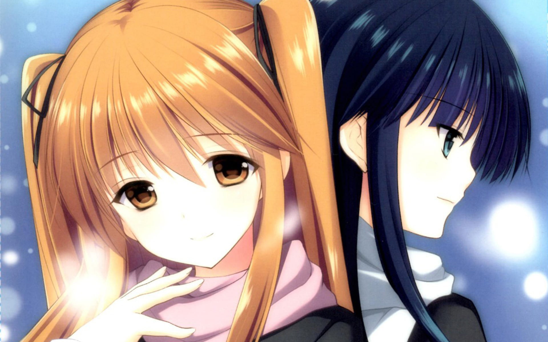 白学家专用，《白色相簿2》高清电脑壁纸下载