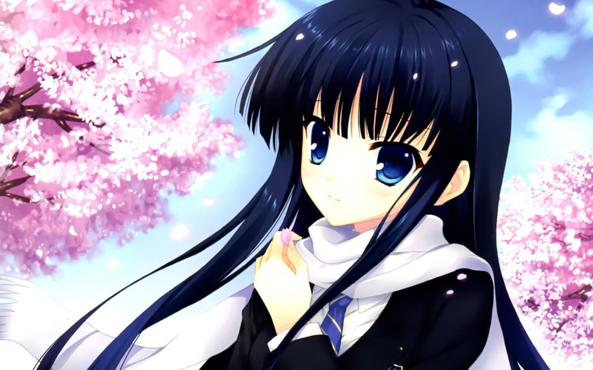 传达得到的感情《白色相簿2》电脑壁纸下载