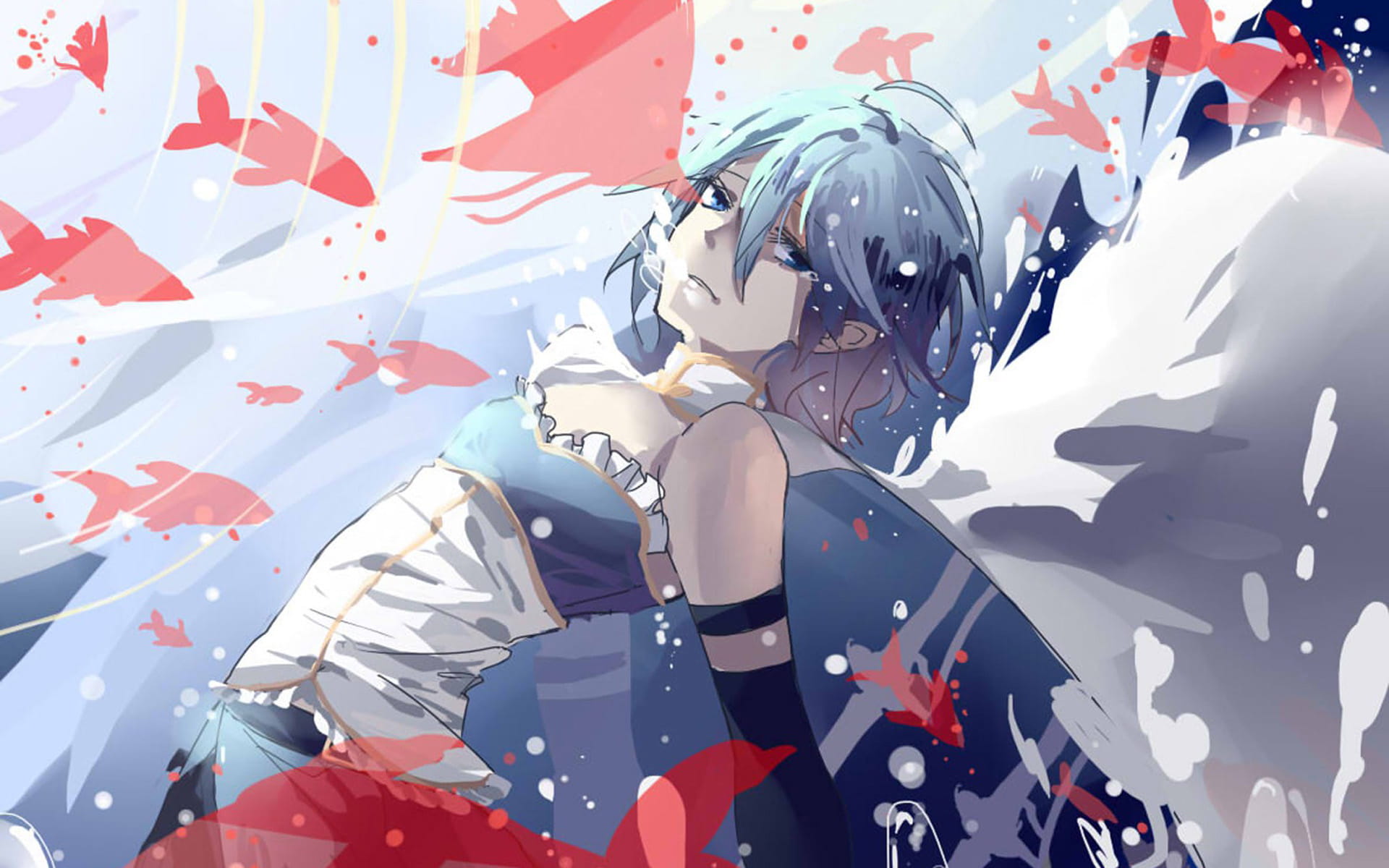 魔法少女小圆美树沙耶香动漫电脑壁纸