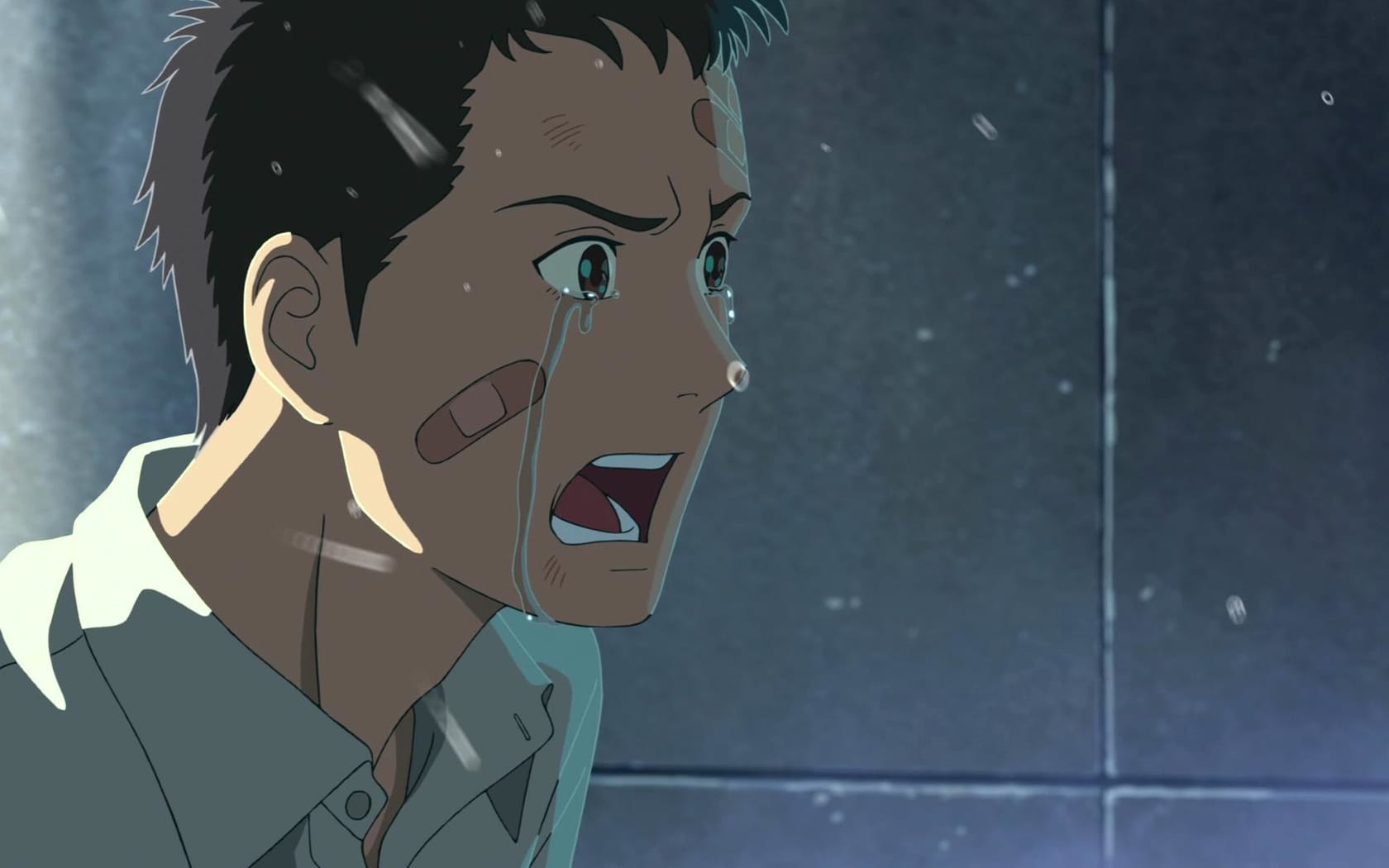 新海诚巨作《言叶之庭》绿色护眼电脑桌面壁纸第三辑