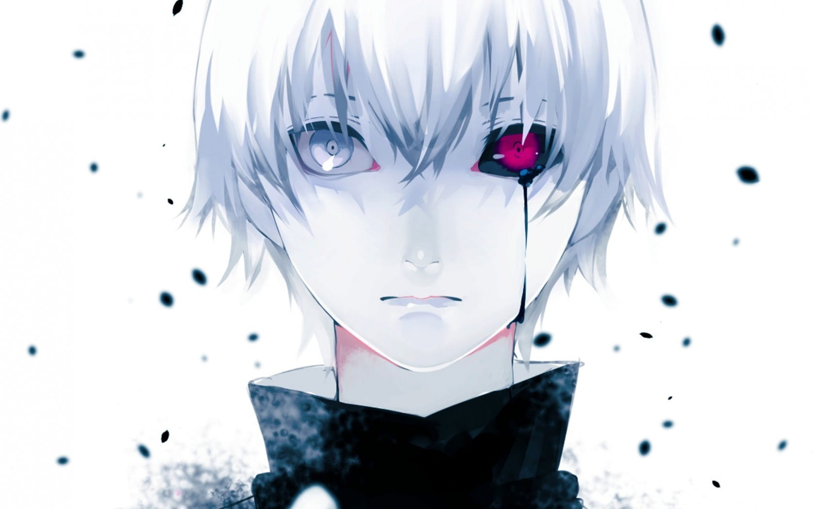 东京搜查官 金木研虐电脑壁纸下载