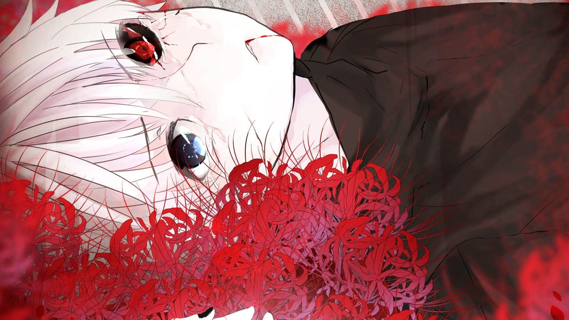 东京搜查官 金木研虐电脑壁纸下载