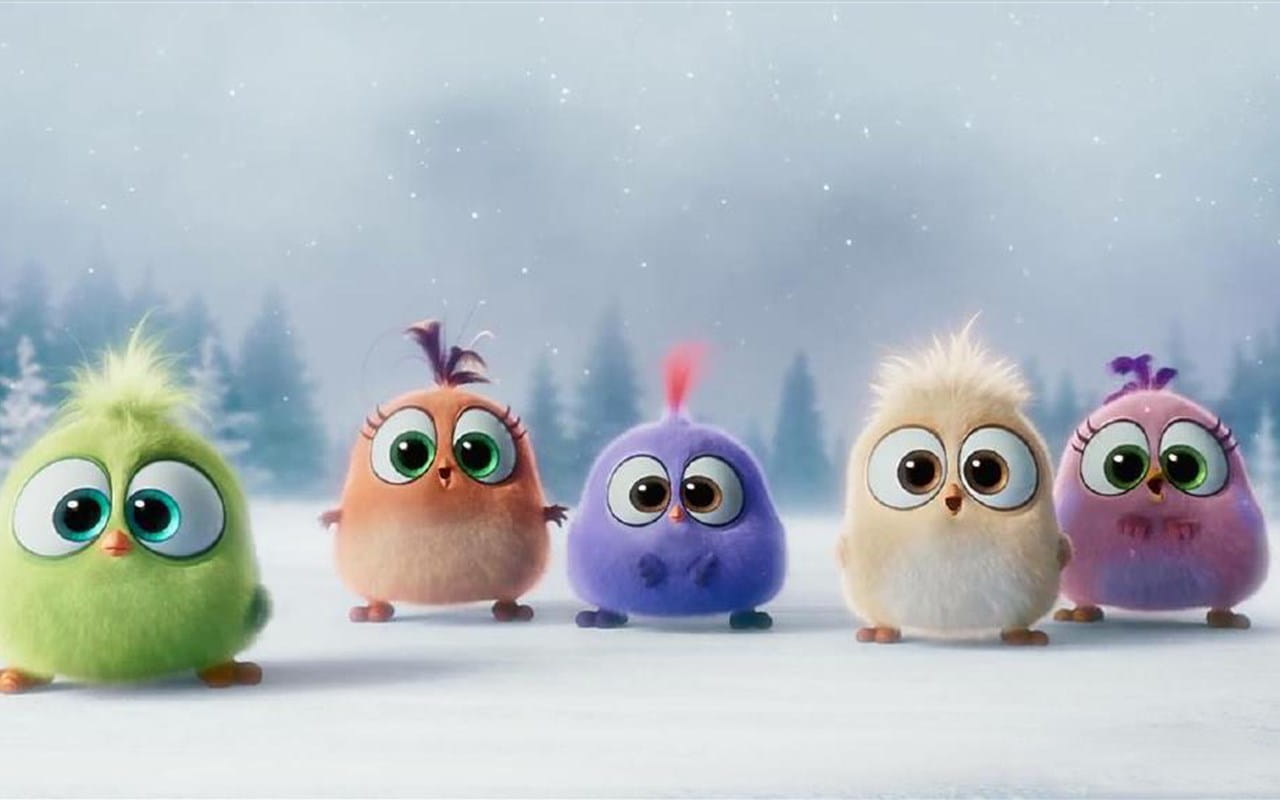 愤怒的小鸟 可爱小鸟精致电脑壁纸