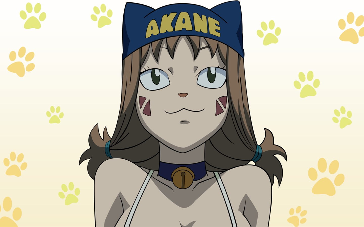 妖精的尾巴 露西动漫高清电脑壁纸下载