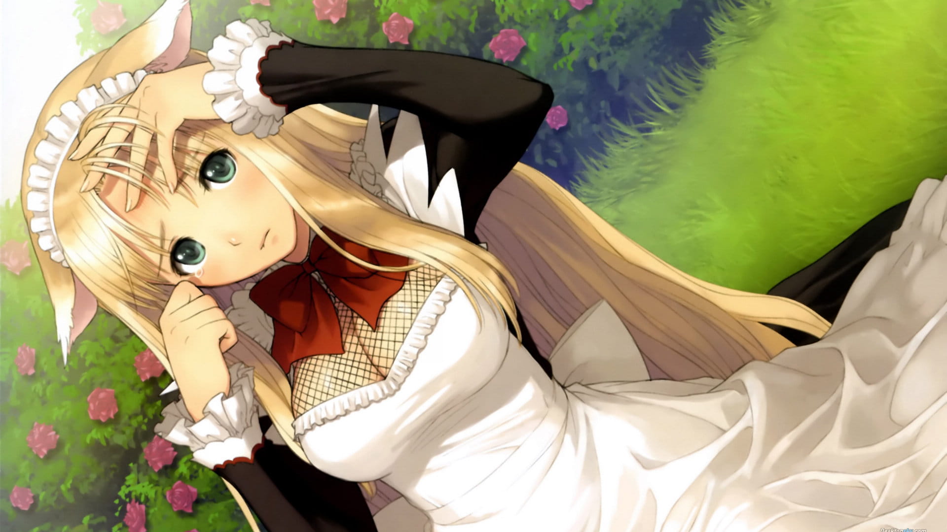 动画《光明之心幸福的面包》高清电脑壁纸(1)