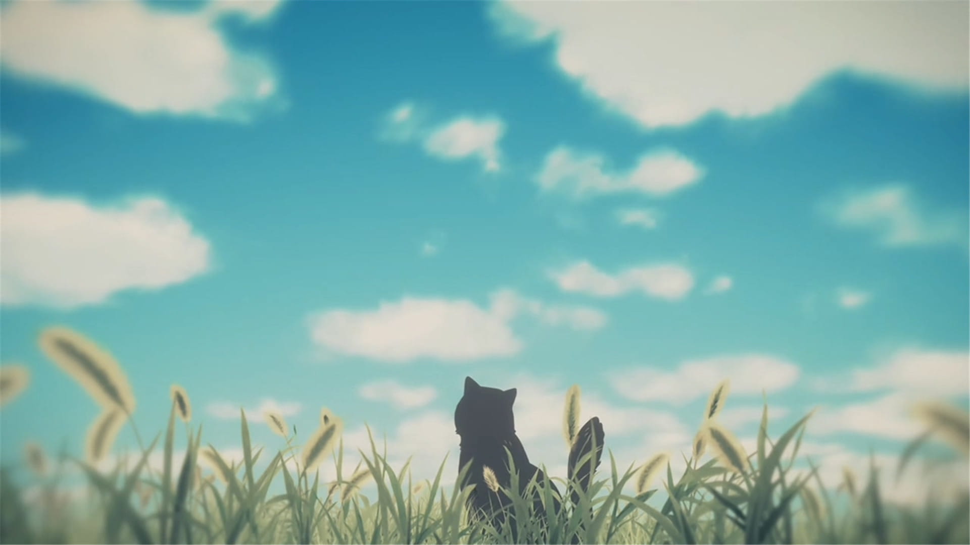 新海诚 她和她的猫 猫咪动漫电脑壁纸下载