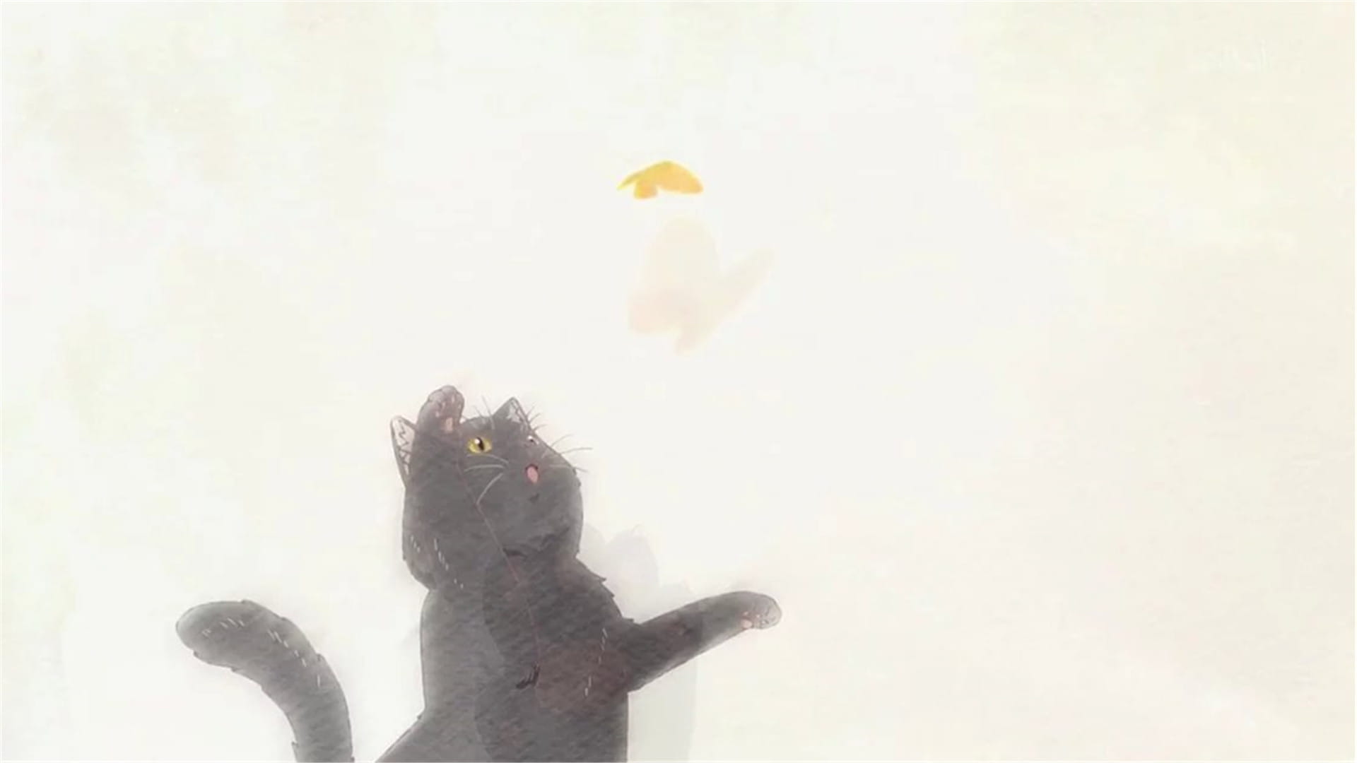 新海诚 她和她的猫 猫咪动漫电脑壁纸下载